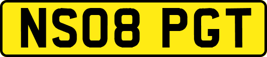 NS08PGT
