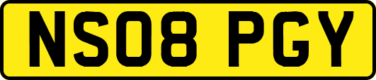 NS08PGY
