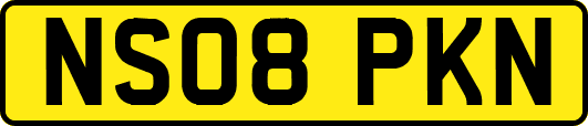 NS08PKN