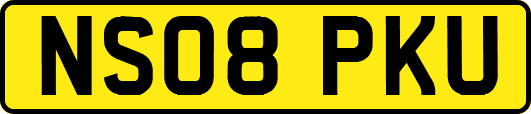 NS08PKU