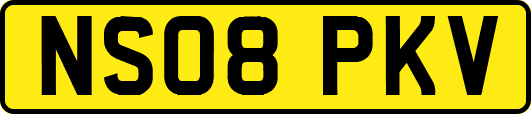 NS08PKV