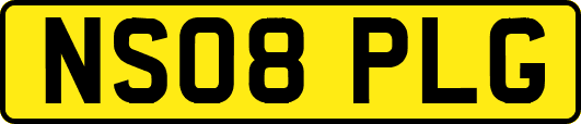 NS08PLG