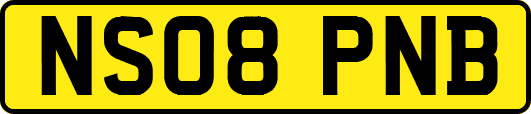 NS08PNB
