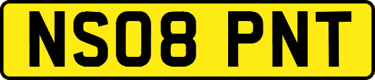 NS08PNT