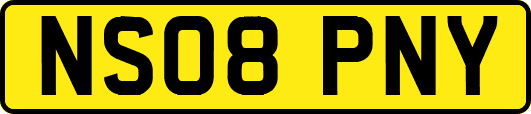 NS08PNY