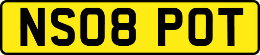 NS08POT
