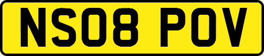 NS08POV