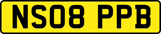 NS08PPB