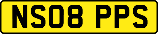 NS08PPS