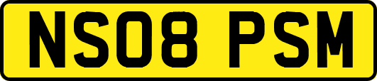 NS08PSM