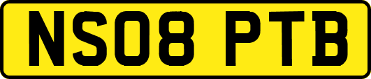 NS08PTB