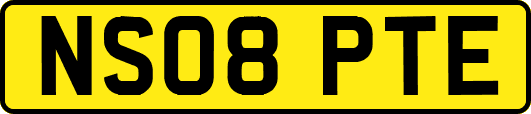 NS08PTE
