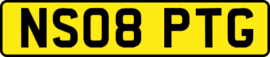NS08PTG