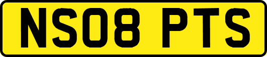 NS08PTS