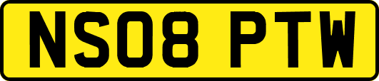 NS08PTW