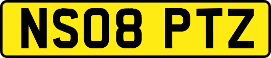 NS08PTZ