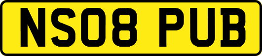 NS08PUB