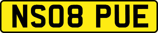 NS08PUE