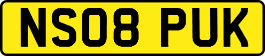 NS08PUK
