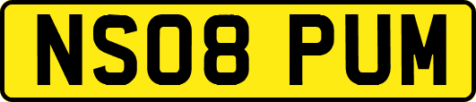 NS08PUM