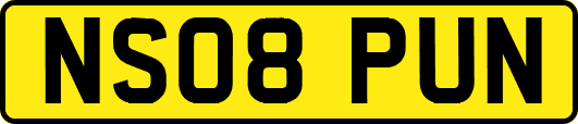 NS08PUN