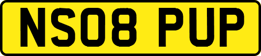NS08PUP