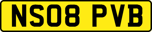 NS08PVB