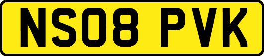 NS08PVK