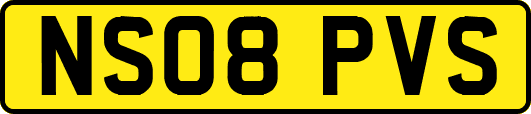 NS08PVS