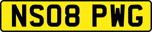 NS08PWG