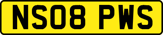 NS08PWS