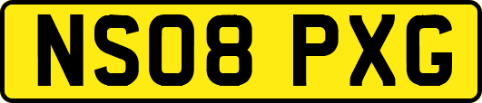 NS08PXG