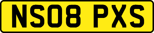 NS08PXS