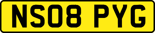 NS08PYG