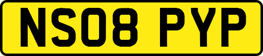 NS08PYP
