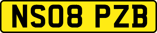 NS08PZB