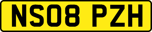 NS08PZH