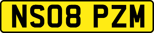 NS08PZM