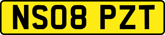 NS08PZT