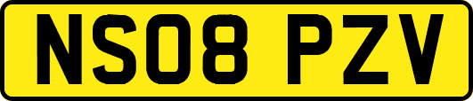 NS08PZV
