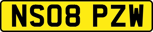 NS08PZW