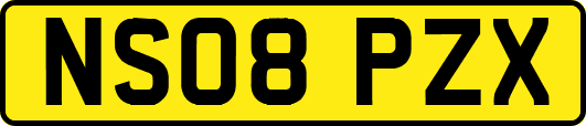 NS08PZX