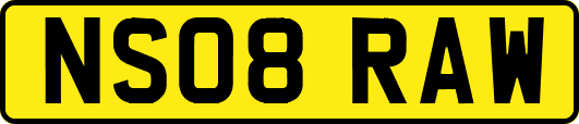 NS08RAW