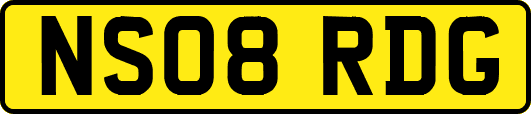 NS08RDG