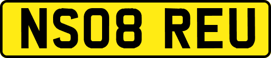 NS08REU