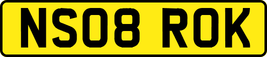 NS08ROK
