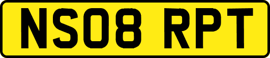 NS08RPT