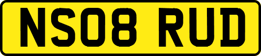 NS08RUD