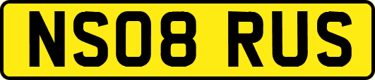 NS08RUS