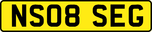 NS08SEG